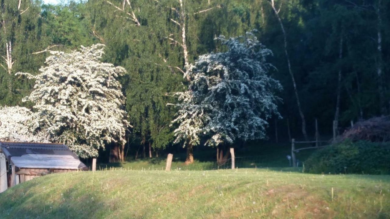 Zimmervermietung Am Holzberg Thallwitz Kültér fotó